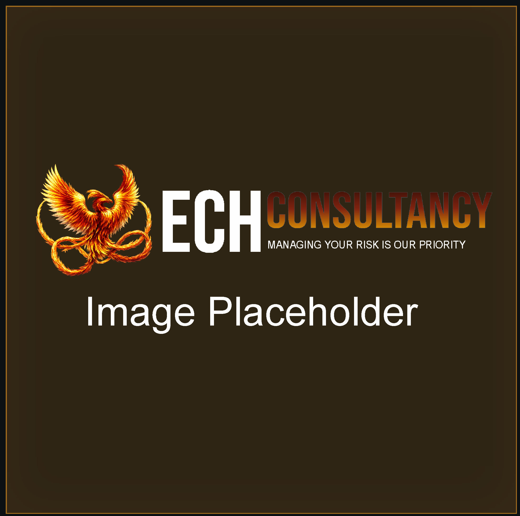 ECH Consultancy team member